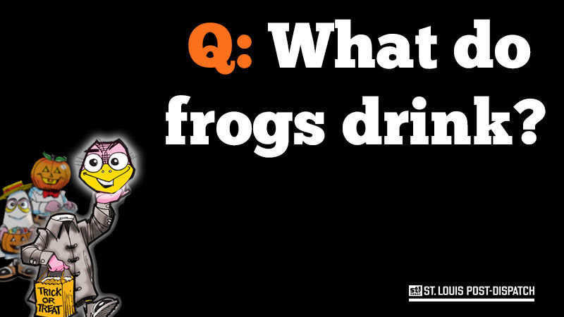 Question